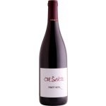 Ota Ševčík Pinot noir 2022 14% 0,75 l (holá láhev) – Hledejceny.cz