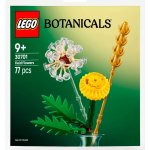 LEGO® Icons™30701 Polní květiny – Zboží Dáma