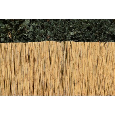 Vingo Rákosová zástěna na plot, 6 m Výška plotu: 100 cm, Délka plotu: 600 cm – Zboží Mobilmania