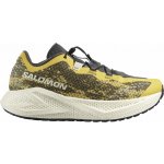 Salomon Aero Glide 4 GRVL beach ball asphalt vanilla ice – Hledejceny.cz
