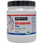 Survival Glutamin fair power 500 g – Hledejceny.cz