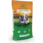 Energys Krůta Mini Forte 25 kg – Zboží Mobilmania