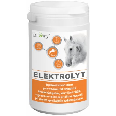 Dromy Elektrolyt, 1kg