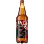 Krušnohor Hijack IPA 15° 6,5% 1 l (pet) – Hledejceny.cz