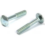 Šroub vratový DIN 603 M6 x 80 ZB - Balení 100 ks – Hledejceny.cz