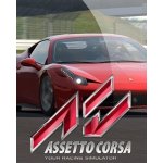 Assetto Corsa (Ultimate Edition) – Zboží Živě