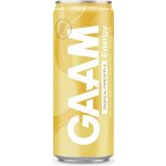 GAAM Tropical Pineapple 330 ml – Zboží Mobilmania