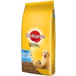 Pedigree Vital Junior 15 kg – Zboží Mobilmania