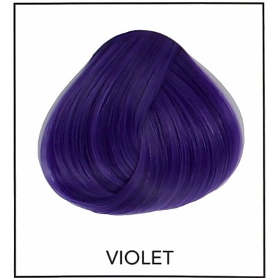 La Riché Directions La Riché Violet 89 ml – Sleviste.cz