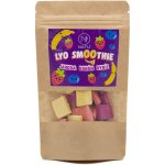 NATU Lyo smoothie mix 20 g – Zboží Mobilmania