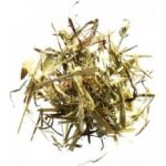 Aniland Zelený oves 0,1 kg – Sleviste.cz