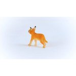 schleich Caracal cub 14868 – Hledejceny.cz