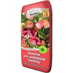 Rašelina Soběslav Zemina pro pokojové rostliny 40 l – Hledejceny.cz