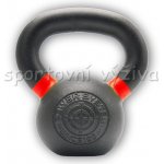 Ariana PowerSystem KETTLEBELL EVO 10kg – Zboží Dáma