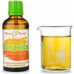 Borovice kosodřevina výhonky kapky Duše rostlin 50 ml – Hledejceny.cz