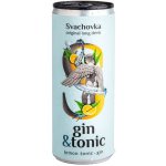 Svachovka Gin & Tonic 7,2% 250 ml – Hledejceny.cz