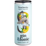 Svachovka Gin & Tonic 7,2% 250 ml – Zboží Dáma