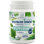 NAJTELO Žvýkačky s xylitolem bez aspartamu peppermint 75 g – Hledejceny.cz