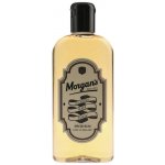 Morgan's Spiced Rum vlasové tonikum 250 ml – Hledejceny.cz