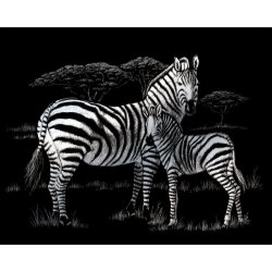 Vyškrabovací obrázek Zebry