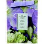 Ashleigh & Burwood Vonný sáček the scented home freesia & orchid 20 g – Hledejceny.cz