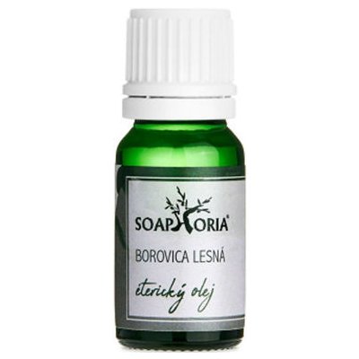 Soaphoria Éterický olej Silice Borovice Lesní 10 ml – Hledejceny.cz