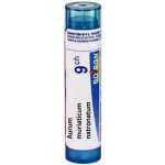 AURUM MURIATICUM NATRONATUM POR 9CH GRA 1X4G – Hledejceny.cz