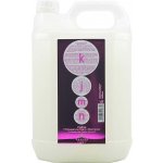 Kallos KJMN Professional Salon Shampoo 5000 ml – Hledejceny.cz