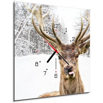Obraz s hodinami 1D - 50 x 50 cm - Deer with beautiful big horns on a winter country road Jelen s krásnými velkými rohy na zimní venkovské cestě