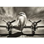 Postershop Fototapeta vliesová: Letadlo černobílé, rozměry 416x254 cm – Zboží Mobilmania