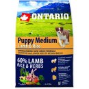 Ontario Puppy Medium Lamb & Rice 6,5 kg