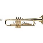 Stagg WS-TR215S B – Zboží Dáma
