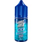 Just Juice ICE - Pure Mint 30 ml – Zboží Dáma Just Juice ICE - Pure Mint 30 ml – Zboží Dáma