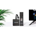 Blaupunkt A-Stream Stick – Zboží Živě