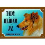Dafiko Tabulka kolie – Hledejceny.cz