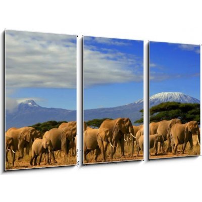 Obraz 3D třídílný - 90 x 50 cm - Kilimanjaro And Elephants Kilimanjaro a sloni – Zbozi.Blesk.cz