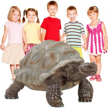 Schleich 14824 Wild Life Giant tortoise