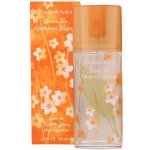 Elizabeth Arden Green Tea Nectarine Blossom toaletní voda dámská 100 ml – Sleviste.cz