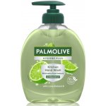 Palmolive Anti Odor tekuté mýdlo dávkovač 300 ml – Hledejceny.cz