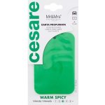Mr&Mrs Fragrance Cesare Scented Cards Warm Spicy – Hledejceny.cz