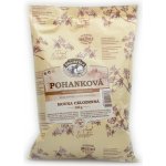 Šmajstrla Pohanková celozrnná mouka 500 g – Zboží Dáma