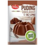 Amylon puding čokoládový bez lepku 40 g – Zboží Dáma