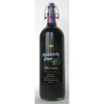 Moštěnický sirup Černý rybíz 0,7 l – Sleviste.cz