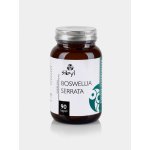 Sibyl Boswellia serrata 400 mg Pryskyřice kadidlovníku 90 kapslí – Hledejceny.cz