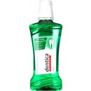 Dentica ústní voda Mint Fresh 500 ml