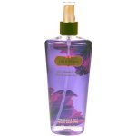 Victoria´s Secret Love Spell tělový sprej 250 ml – Zbozi.Blesk.cz