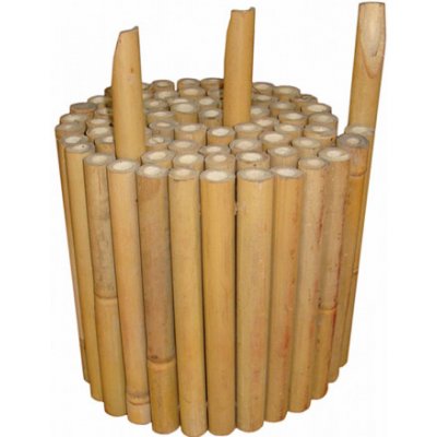 NOHEL GARDEN Plůtek BAMBUS zapichovací 24/28 mm 1 x 0,25 m – Hledejceny.cz