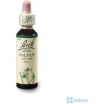 Bachovy květové esence Vlašský ořech Walnut 20 ml – Hledejceny.cz