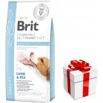 Brit Veterinary Diet Dog Obesity 12 kg – Zbozi.Blesk.cz
