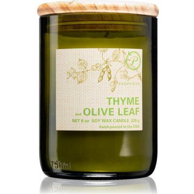 Paddywax Eco Candle | Thyme & Olive Leaf 8 oz